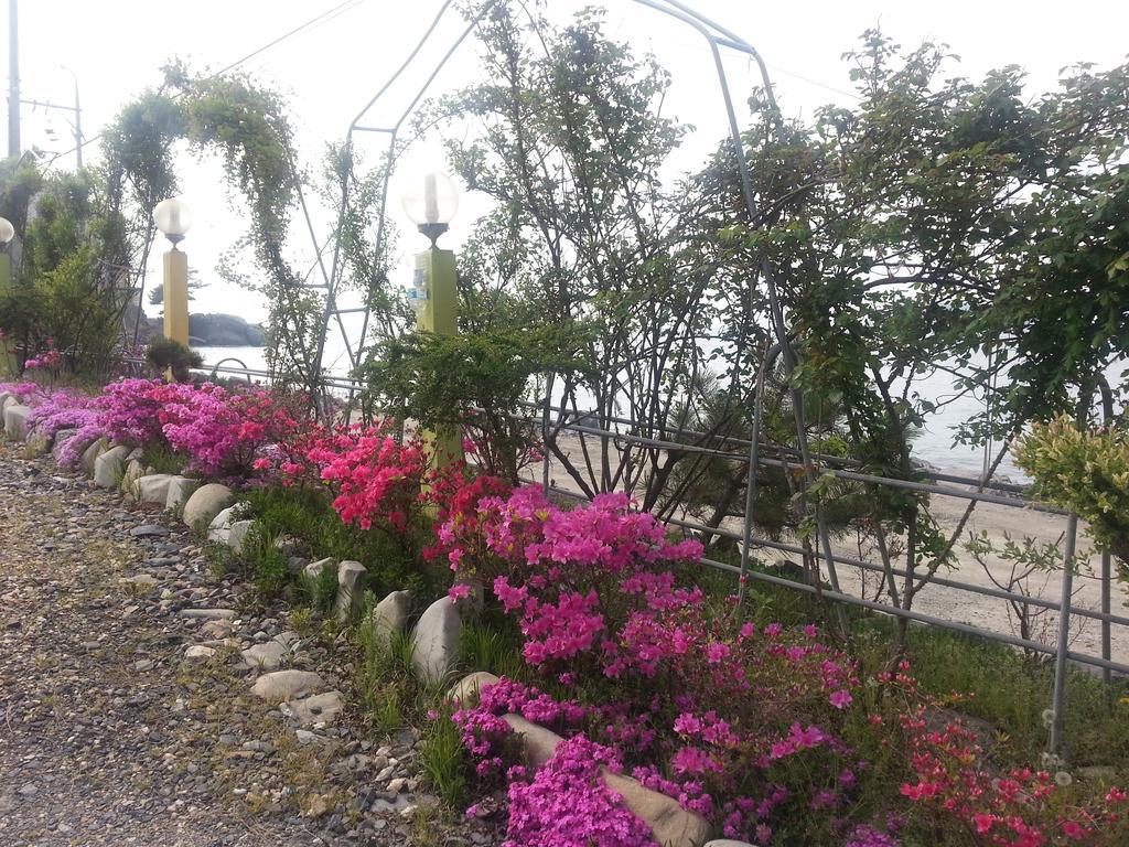 Yongdu Beach Pension Boryeong Ngoại thất bức ảnh