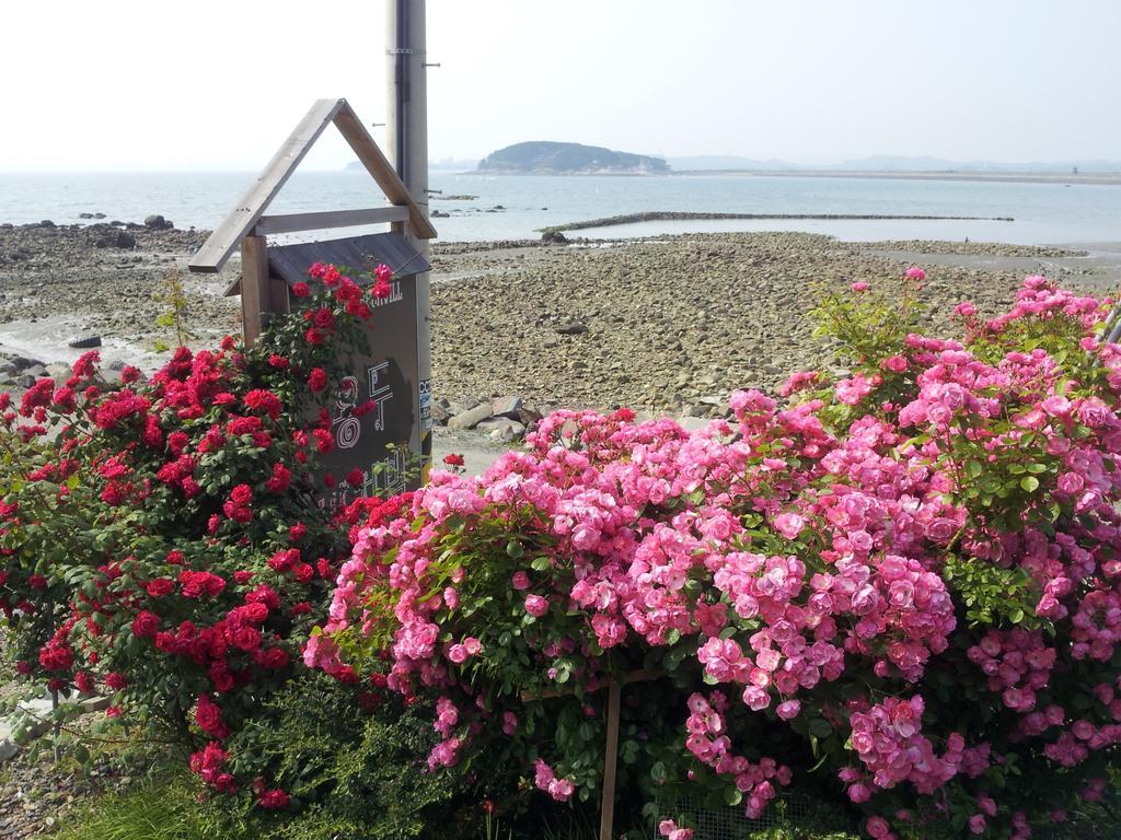 Yongdu Beach Pension Boryeong Ngoại thất bức ảnh